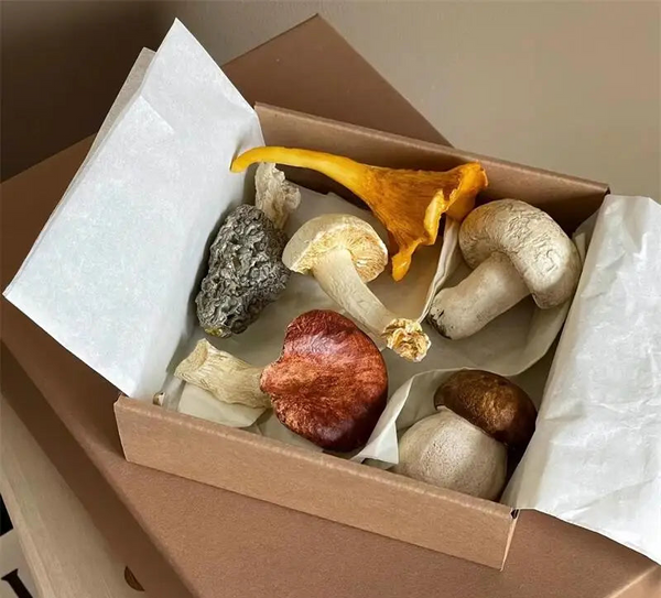 MUSHROOM SHAPED CUTLERY AND CHOPSTICK HOLDER french mushroom selection gift ideas dinnerware serveware kitchen and dining
